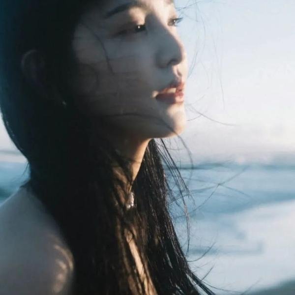 武士的一分海报